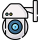 PTZ Cameras
